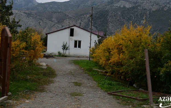 Zəngilan rayonunun işğaldan azad edilmiş ərazilərindən yeni görüntülər - FOTO