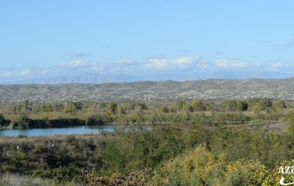 Zəngilan rayonunun işğaldan azad edilmiş ərazilərindən yeni görüntülər - FOTO