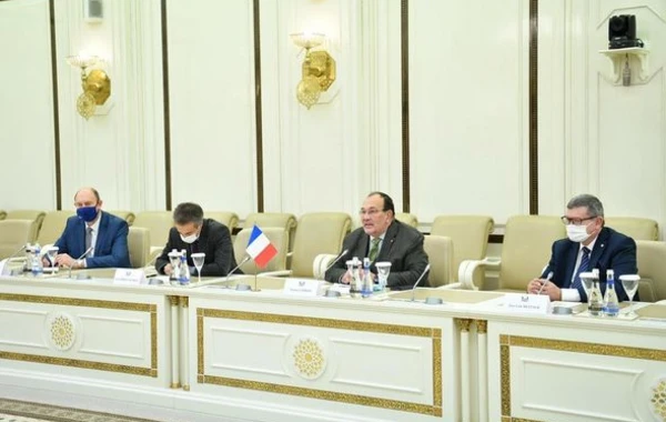 Sahibə Qafarova Fransa Parlamentinin nümayəndə heyəti ilə görüşüb - FOTO