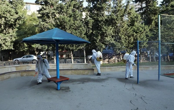 Bakıda 554 küçə dezinfeksiya edildi - FOTO
