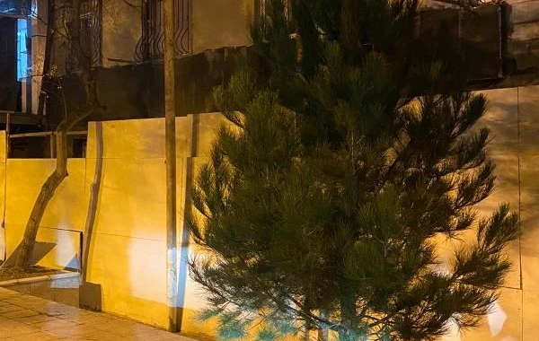 Bakıda ağac avtomobilin üzərinə aşdı - FOTO