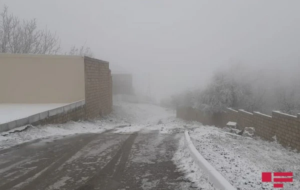 Şamaxıya qar yağıb - Yollar buz bağlayacaq - FOTO