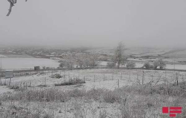 В Шамахы выпал снег, на дорогах ожидается гололедица - ФОТО