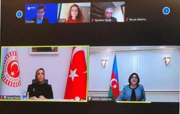 Sahibə Qafarova miqrant problemində beynəlxalq təşkilatların təsirsizliyini səbəb kimi görür - FOTO