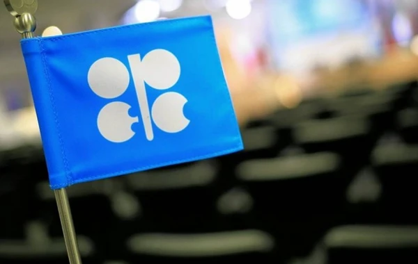OPEC Nazirlər Şurasının videoiclası başlayıb