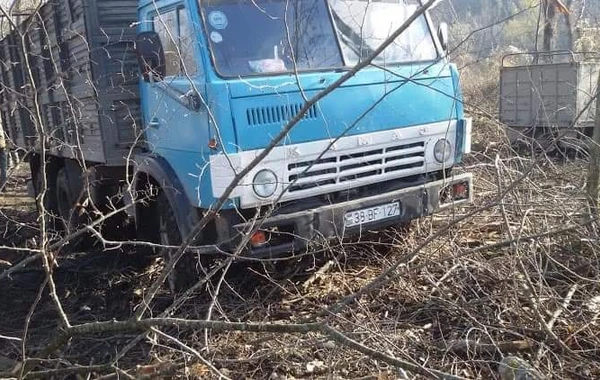 В Гусаре массово вырубают деревья - ОФИЦИАЛЬНОЕ ЗАЯВЛЕНИЕ + ФОТО