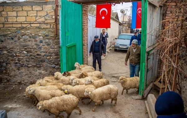 Şəhid ailəsi və müharibə iştirakçısı üçün kiçik təsərrüfatlar yaradıldı - FOTO