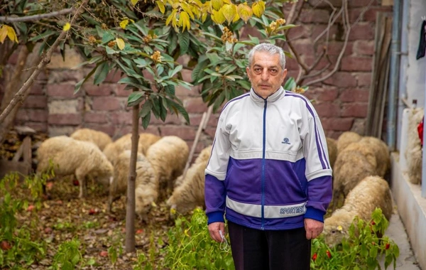 Şəhid ailəsi və müharibə iştirakçısı üçün kiçik təsərrüfatlar yaradıldı - FOTO