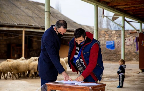 Şəhid ailəsi və müharibə iştirakçısı üçün kiçik təsərrüfatlar yaradıldı - FOTO