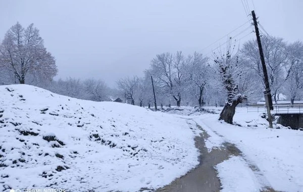 Şəki ağ örpəyə bürünüb - FOTO