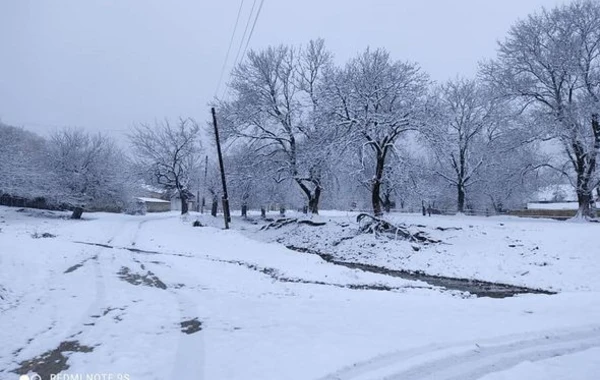 Şəki ağ örpəyə bürünüb - FOTO