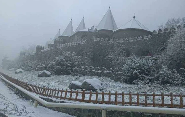 Qaxa ilk qar yağıb - FOTO