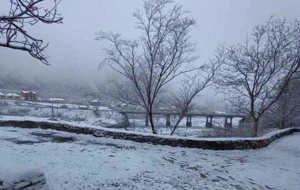 Qaxa ilk qar yağıb - FOTO