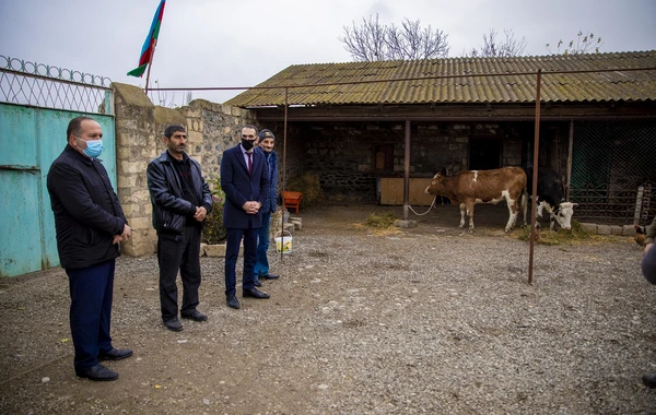 Şəhid ailəsi və erməni terrorundan əziyyət çəkən mülki şəxslər üçün kiçik təsərrüfatlar yaradıldı - FOTO
