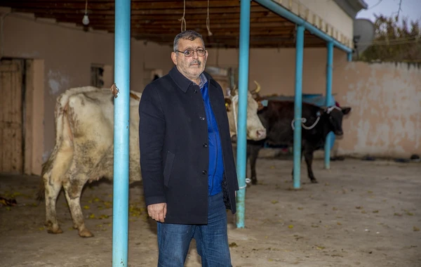 Şəhid ailəsi və erməni terrorundan əziyyət çəkən mülki şəxslər üçün kiçik təsərrüfatlar yaradıldı - FOTO