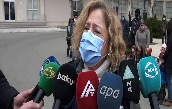 Hande Harmancı: “Səhiyyə sistemi bu yükü qaldıra bilməyəcək”