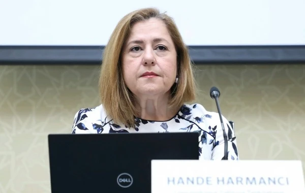 Hande Harmancı: "Azərbaycan hökuməti koronavirusla mübarizədə ÜST-nın tövsiyə etdiyi qaydalarla bağlı bütün tədbirləri görür"