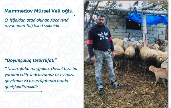 Onlar Xocavəndə kiçik biznesləri ilə qayıdacaqlar - FOTO