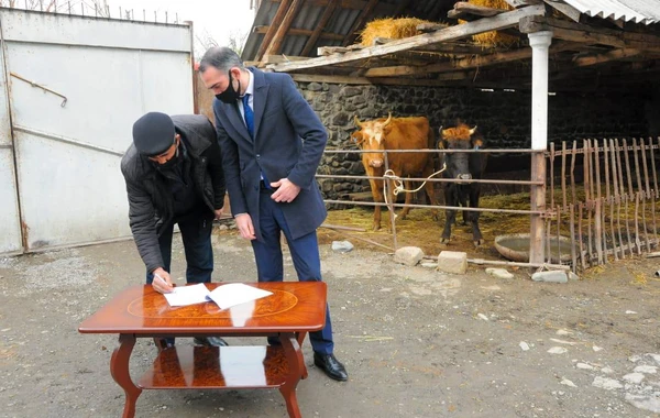 Oğuz və Qəbələdə şəhid ailələri və qazilər üçün təsərrüfatlar yaradılıb - FOTO