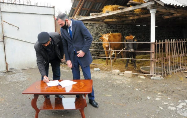 В Огузе и Габале созданы фермерские хозяйства для ветеранов и семей шехидов – ФОТО
