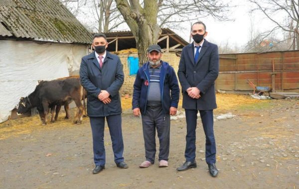 В Огузе и Габале созданы фермерские хозяйства для ветеранов и семей шехидов – ФОТО