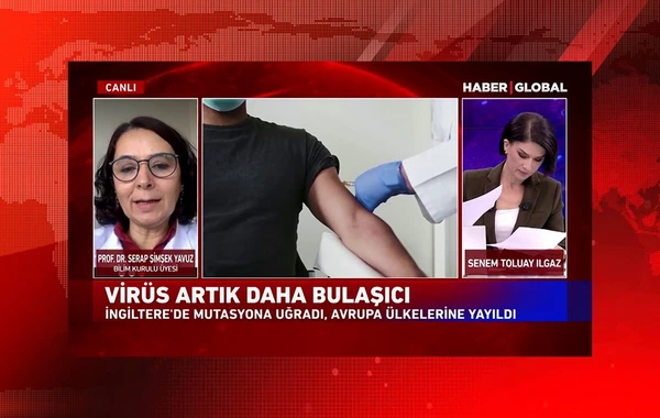 Türkiyəli professor YENİ NÖV VİRUSun təhlükəsindən danışdı - VİDEO