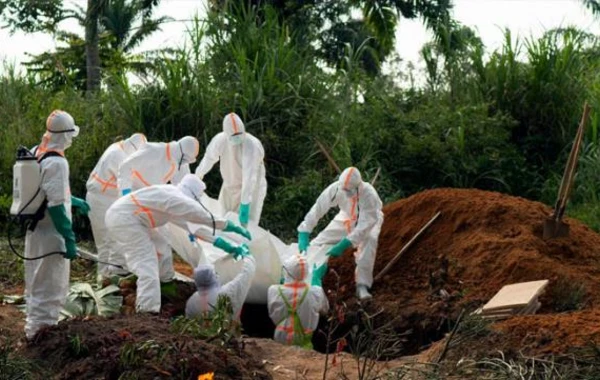 Ebola virusunu aşkar edən professordan şok açıqlama: Koronadan daha ölümcül virus gəlir