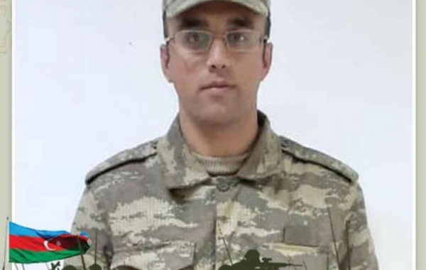 İqtisadiyyat Nazirliyinin Vətən müharibəsində iştirak edən bir qrup əməkdaşı təltif edilib - FOTO
