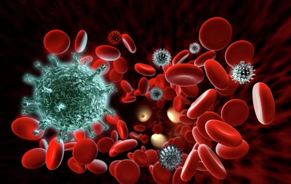 Pandemiya zamanı virusa qarşı ən güclü immunitet açıqlandı