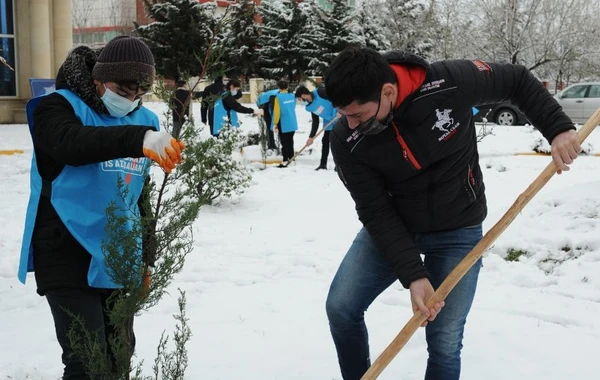 “Davam” ümumrespublika ağacəkmə aksiyası həyata keçirib - FOTO