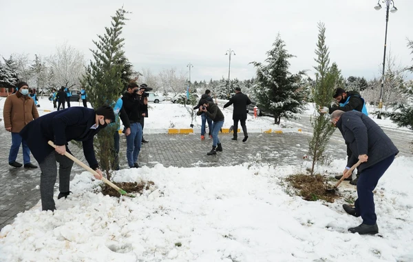 “Davam” ümumrespublika ağacəkmə aksiyası həyata keçirib - FOTO