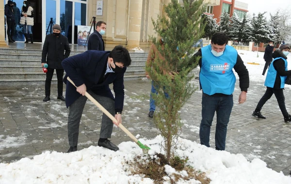 “Davam” ümumrespublika ağacəkmə aksiyası həyata keçirib - FOTO