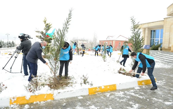 “Davam” ümumrespublika ağacəkmə aksiyası həyata keçirib - FOTO