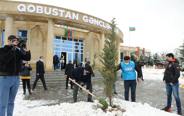 “Davam” ümumrespublika ağacəkmə aksiyası həyata keçirib - FOTO