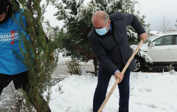“Davam” ümumrespublika ağacəkmə aksiyası həyata keçirib - FOTO