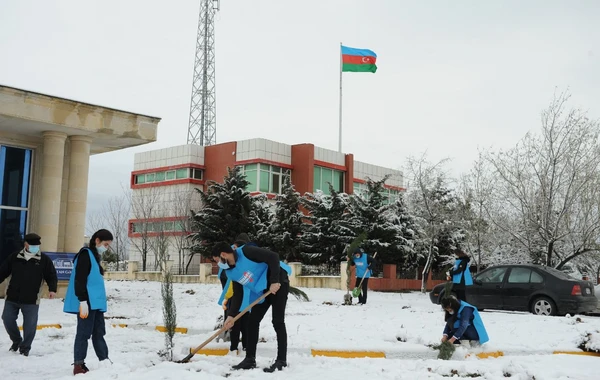 “Davam” ümumrespublika ağacəkmə aksiyası həyata keçirib - FOTO