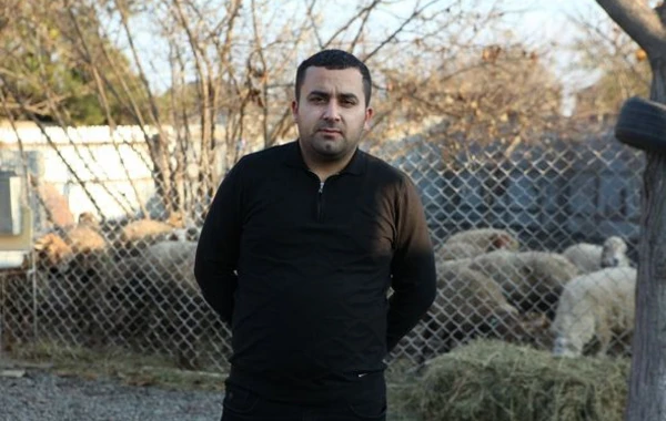 Bərdədə şəhid ailələri və müharibə iştirakçıları üçün yeni təsərrüfatlar yaradıldı - FOTO