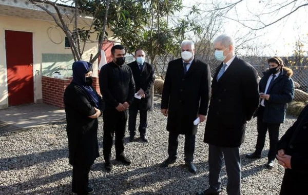 Bərdədə şəhid ailələri və müharibə iştirakçıları üçün yeni təsərrüfatlar yaradıldı - FOTO