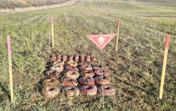 В ряде районов Азербайджана обезврежены сотни мин и неразорвавшихся боеприпасов - ФОТО