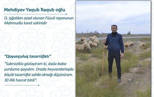 Füzuli sakinləri təsərrüfatlarını doğma yurdlarında daha da genişləndirəcəklər - FOTO