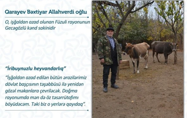Füzuli sakinləri təsərrüfatlarını doğma yurdlarında daha da genişləndirəcəklər - FOTO