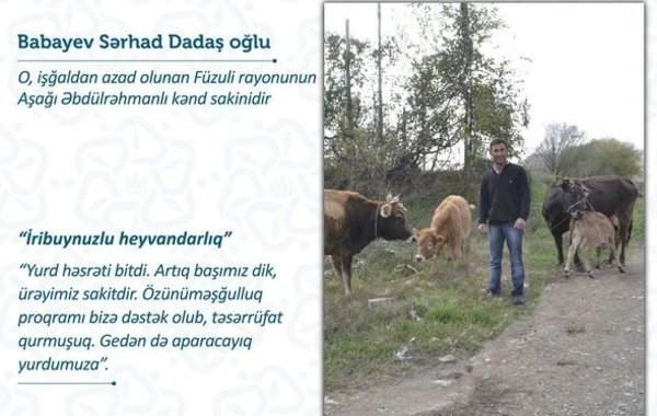 Füzuli sakinləri təsərrüfatlarını doğma yurdlarında daha da genişləndirəcəklər - FOTO