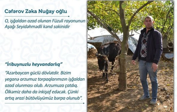 Füzuli sakinləri təsərrüfatlarını doğma yurdlarında daha da genişləndirəcəklər - FOTO
