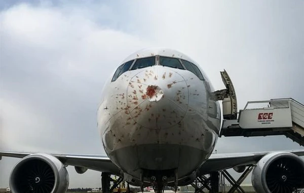 Принадлежащий Turkish Airlines самолет совершил экстренную посадку в Стамбуле - ФОТО