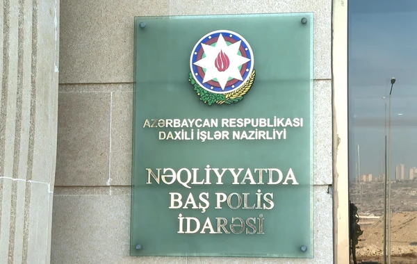 64 ədəd nərə balığını ovlayan mütəşəkkil dəstə ələ keçdi - FOTO