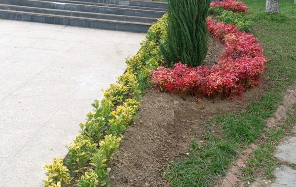 Bursadakı Heydər Əliyev Parkı əsaslı şəkildə təmir olunur - FOTO