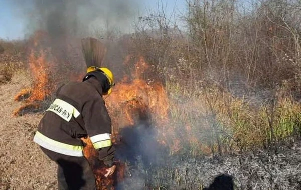 Hirkan Milli Parkında baş verən yanğının bir istiqamətdə söndürülməsi təmin edilib - VİDEO