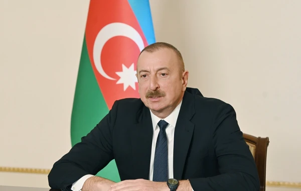 İlham Əliyev Aydın Kərimovu qəbul etdi - VİDEO