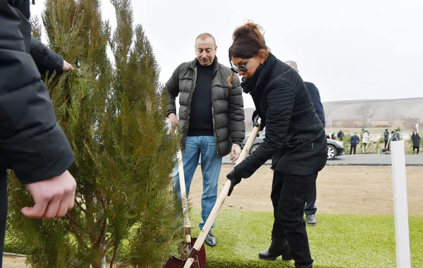 Инициированная Мехрибан Алиевой акция по посадке деревьев удостоена награды в Испании - ФОТО