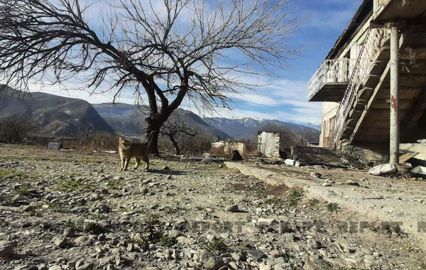 Dağların qoynunda bir inci - Suqovuşandan FOTOREPORTAJ
